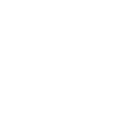 Asset-42